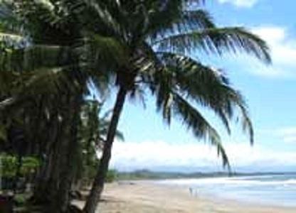 Amatierra Retreat And Wellness Center Hotel Bolson Luaran gambar